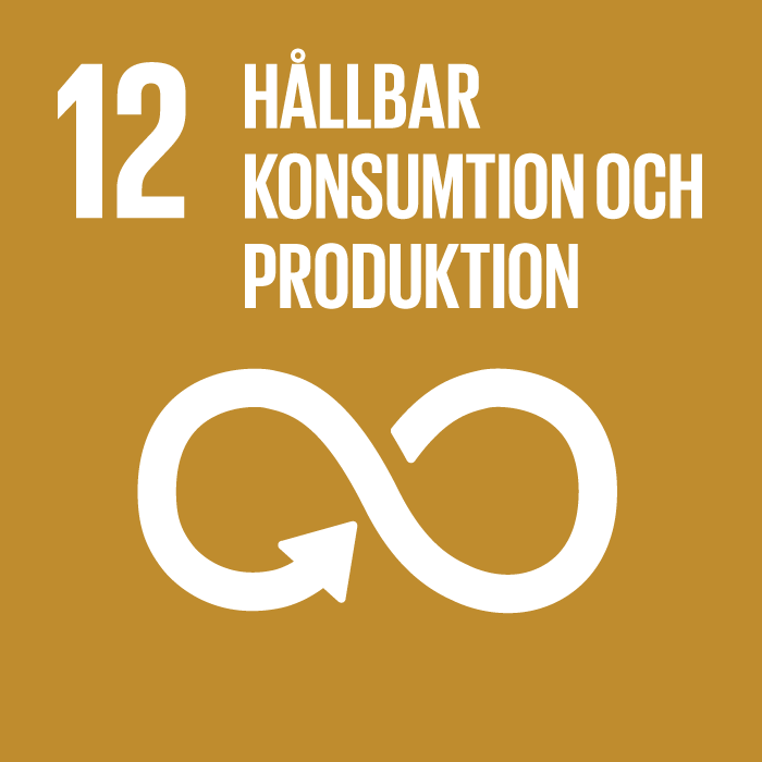 FN:s globala mål 12: Hållbar konsumtion och produktion